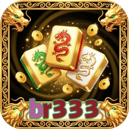 br333